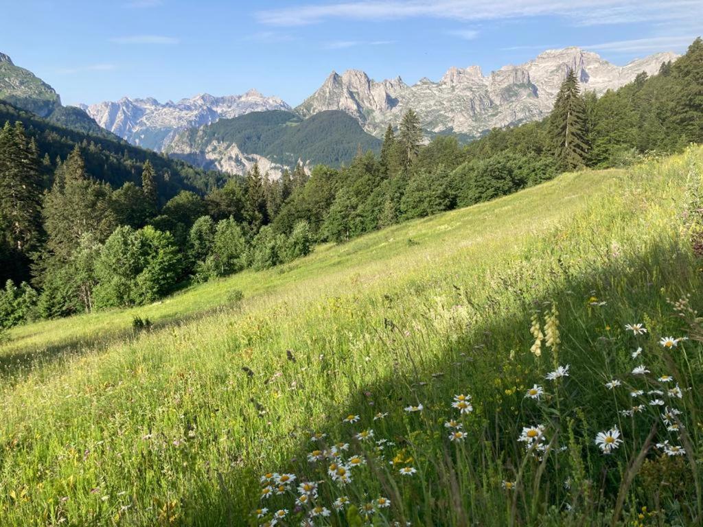 Bujtina Arturi Hotel Valbone Buitenkant foto